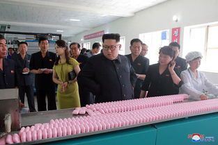 金正恩視察朝中接壤地區 參觀化妝品廠凸顯經濟多元化戰略